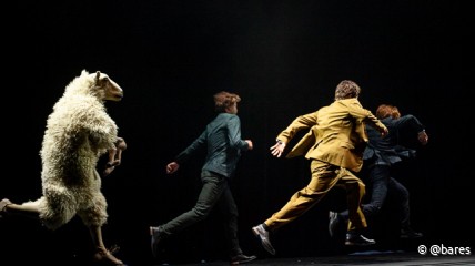 naar toneel in Roeselare: The Sheep Song