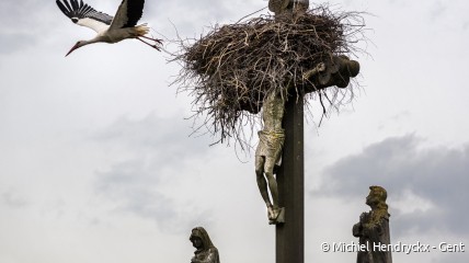 Fotograaf Michiel Hendrickx komt spreken